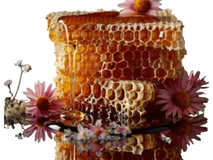 Wild Flower Honey